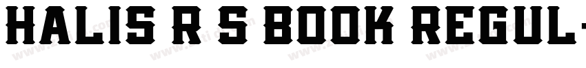 Halis R S Book Regul字体转换